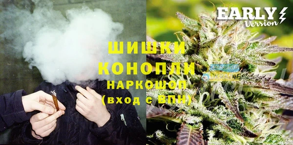 хмурый Аркадак