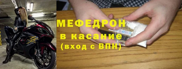 хмурый Аркадак