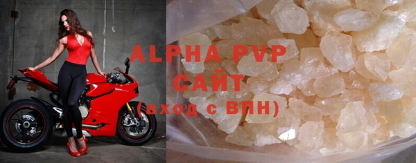 хмурый Аркадак