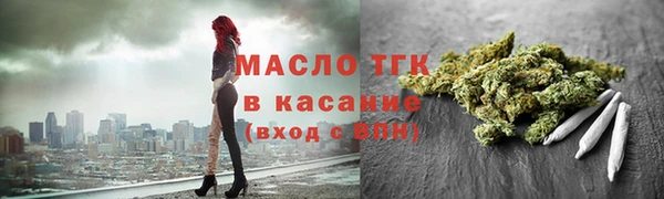 хмурый Аркадак