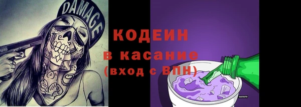 хмурый Аркадак