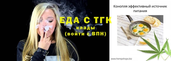 хмурый Аркадак