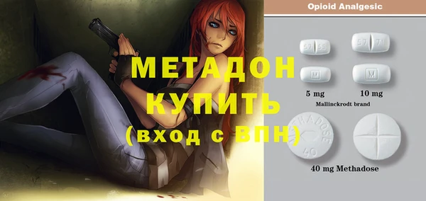 хмурый Аркадак