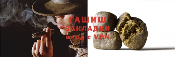 хмурый Аркадак