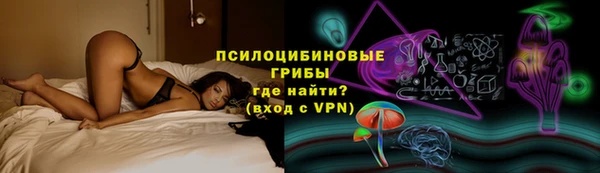 хмурый Аркадак