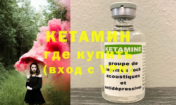 хмурый Аркадак