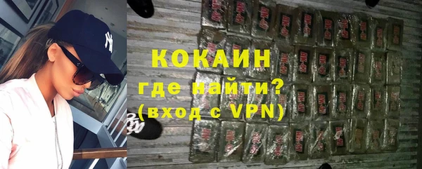 хмурый Аркадак