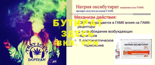 хмурый Аркадак