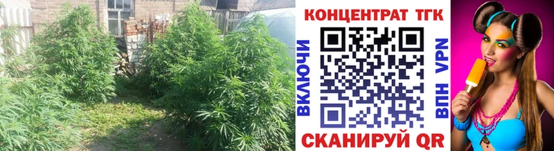 kraken сайт  как найти закладки  Галич  Дистиллят ТГК вейп с тгк 