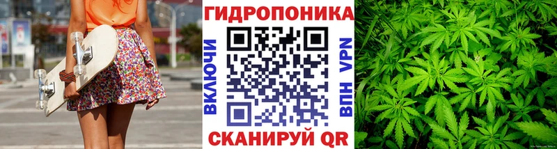 магазин    Галич  Шишки марихуана сатива 